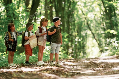 Preview: Going to the side. Kids in forest at summer daytime together
