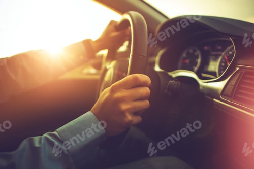 Preview: Car and the Driver