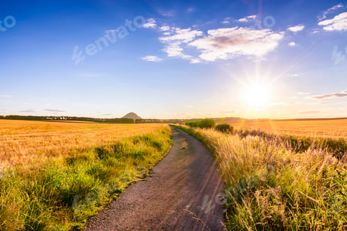 Preview: UK, Scotland, East Lothian, dirt track in between fields of barley at sunset