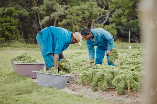 Preview: Farming is our life