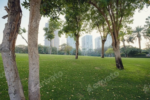 Preview: Alley with green lawn and trees in the Zabeel park