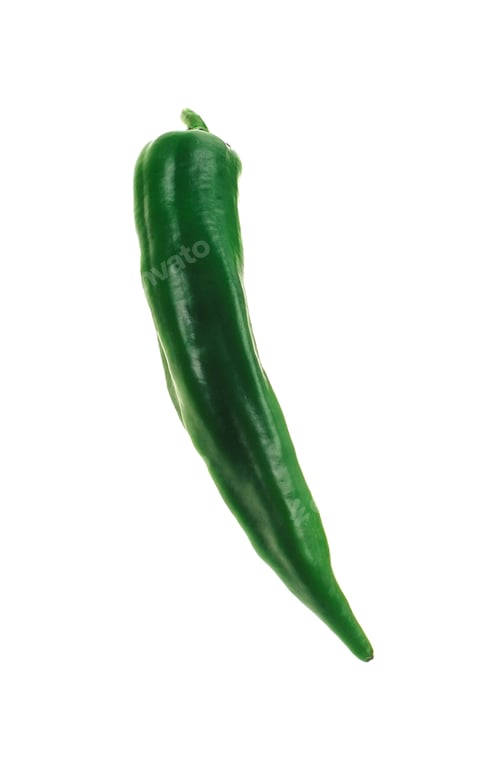 Preview: One chili pepper, green on white background