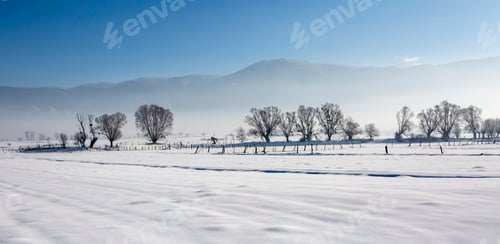 Preview: Bolu / Turkey, winter snow natural park landscape