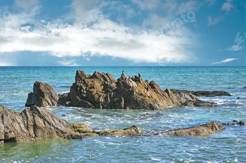 Preview: Coastal view of a tranquil sea