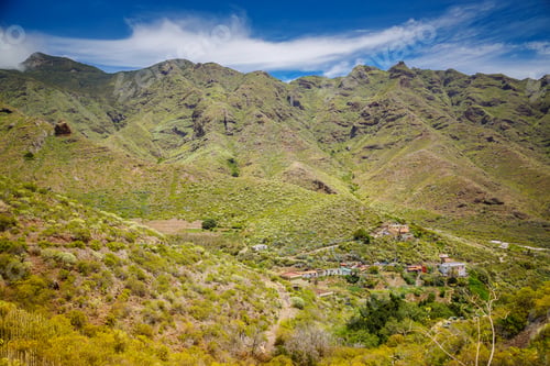 Preview: The vibrant green landscape with Tenerife's rural areas - mountains in Anaga natural park