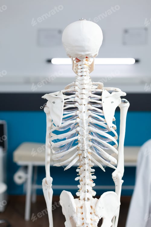 Preview: Human body skeleton standing in empty hospital office with nobody in it