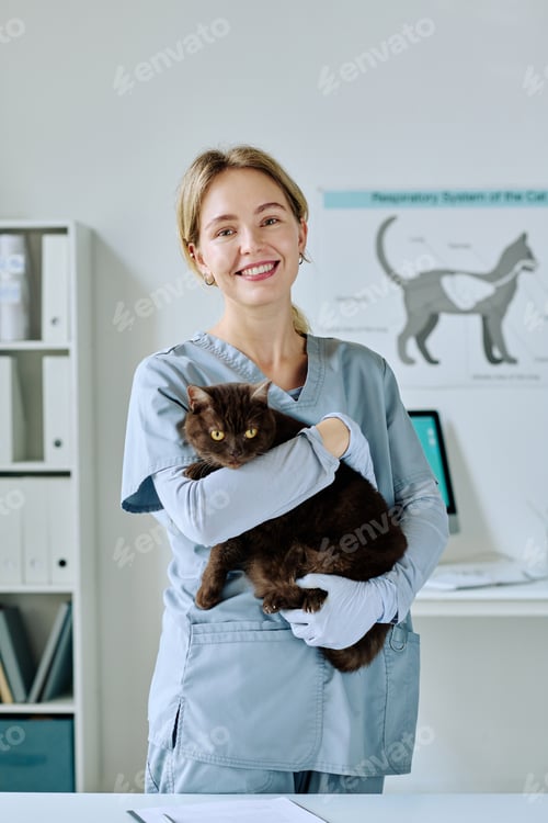 Preview: Young nurse with cat at vet clinic