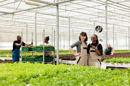 Preview: Diverse women in hydroponic enviroment working in organic food farm talking while having a break