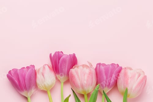 Preview: Easter greeting card with spring tulips
