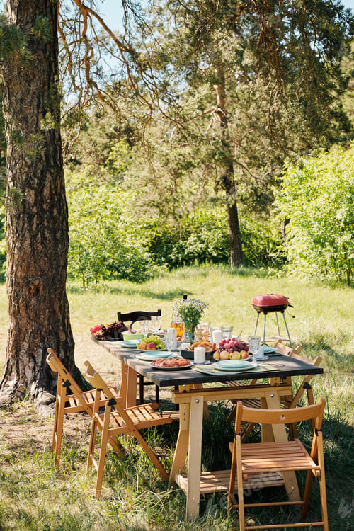 Preview: Several wooden chairs aroung table served with homemade food and drinks