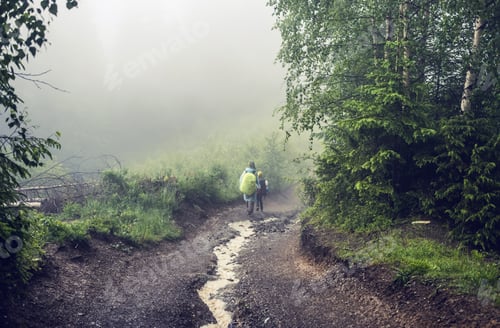 Preview: Two hikers on a path throught the forest in the mountains