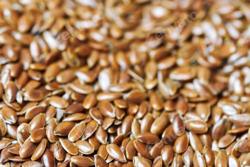 Preview: Flaxseed, linseed isolated