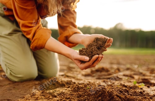 Preview: Young female farmer's hands touch dry soil in an agricultural field. Gardening and ecology concept.