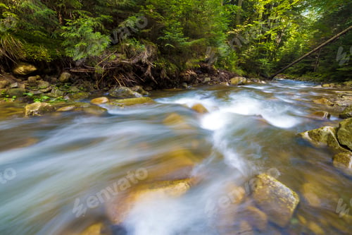 Preview: Fast flowing through wild green forest river