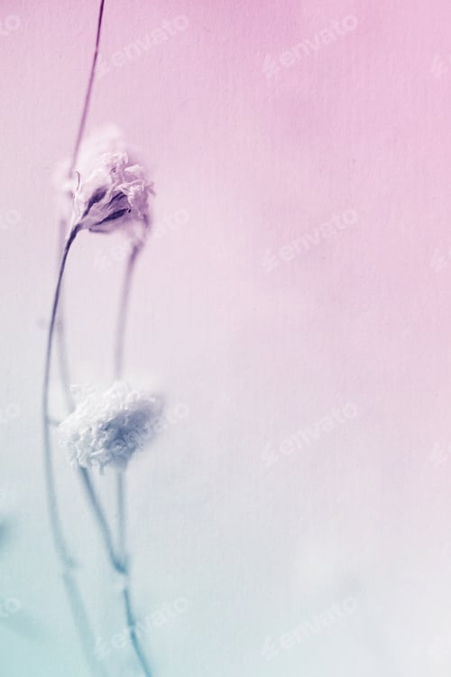 Preview: Colorful Flowers In Vintage Color Style On Mulberry Paper Texture For Background