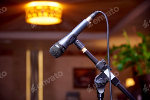 Preview: A microphone in the hall