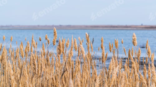 Preview: Absheron National Park, wildlife reserve