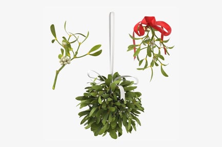 Preview: Holiday Mistletoe Ornament Collection