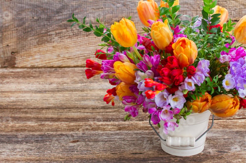 Preview: freesia and flowers