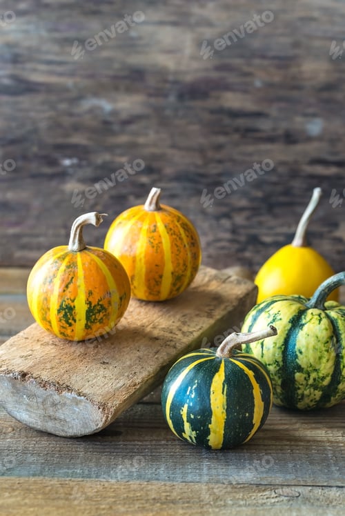 Preview: Variety of ornamental pumpkins