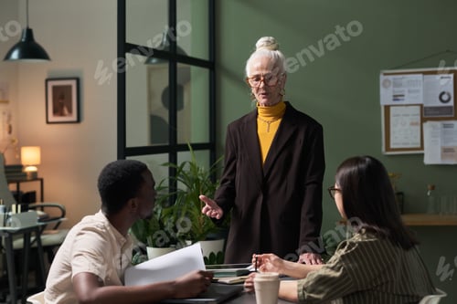 Preview: Senior Woman Leading Business Meeting in Modern Office