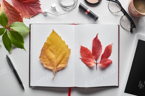 Preview: Colorful Red And Yellow Leaves of Wild Grapes And Alder Near Notebook, Cosmetics, Glasses,coffee Cup