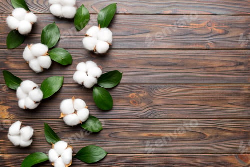 Preview: Autumn Floral Flat lay background composition. Dried white fluffy cotton flower branch