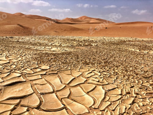 Vista previa: Desert and climate change