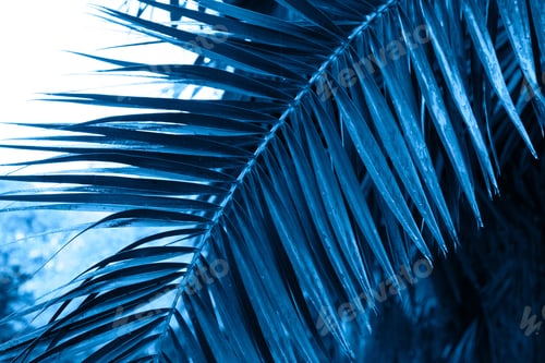Preview: tree