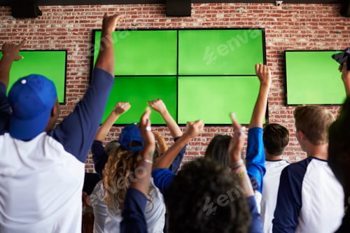 Preview: Rear View Of Friends Watching Game In Sports Bar Celebrating