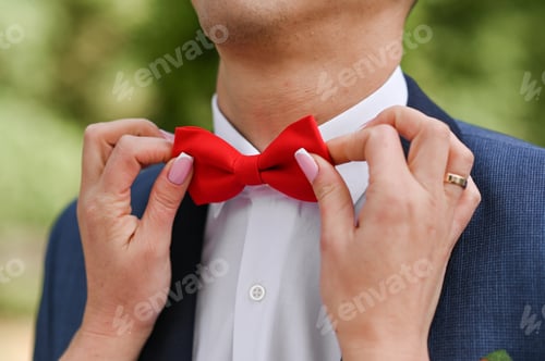 Preview: Woman Adjusts Groom's Bow Tie Before Wedding Ceremony
