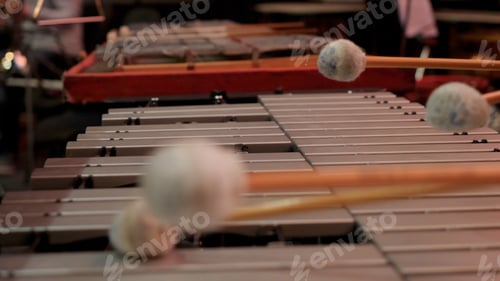 Preview: Man playing xylophone with nice drumstick. Human hands playing a glockenspiel close-up