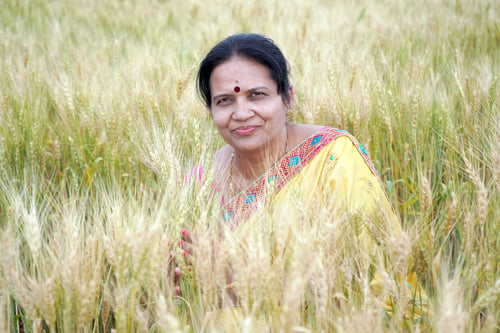 Preview: Beautiful young Indian woman wear in saree at the wheat field