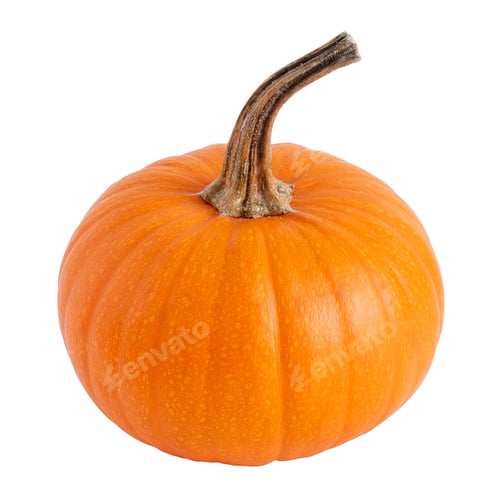 Preview: Pumpkin isolated on white