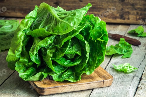 Preview: ripe organic green salad Romano