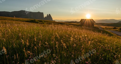 Preview: Seiser Alm meadows in the sunset in the mountains