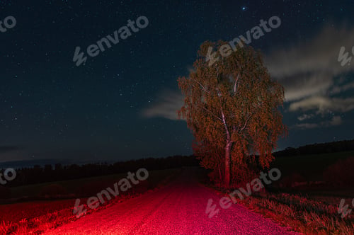 Preview: Night landscape with dark blue starry sky and tree, red light path