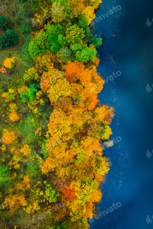 Preview: Top down view of blue river and autumn forest, Poland