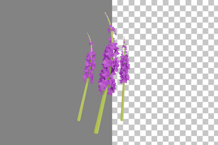 Preview: Orchid 3D Icon