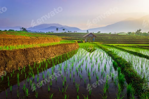 Preview: beautiful morning view from Indonesia of mountains and tropical forest
