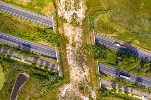 Preview: Ecoduct wildlife crossing
