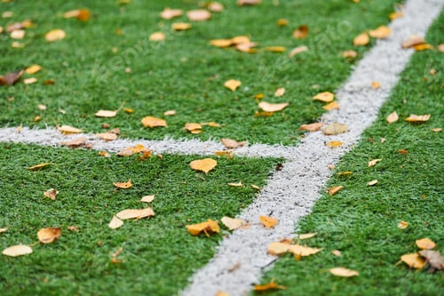 Preview: Artificial grass, sports field cover