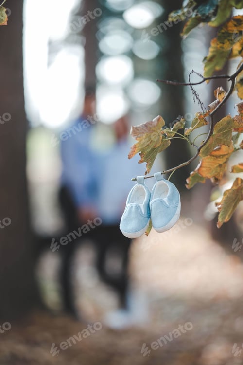 Preview: Vertical shot of newborn's shoes on a branch