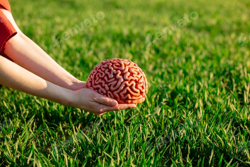Preview: Woman hands hold human brain over green wheat field. experience metaphor