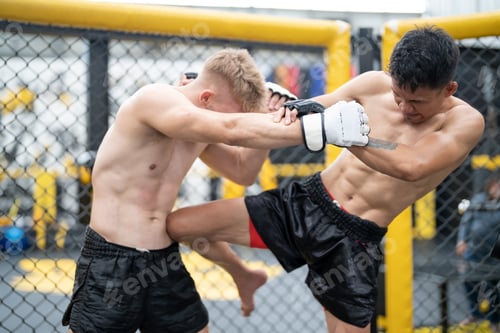 Preview: Focused fighter delivering a blow to the body