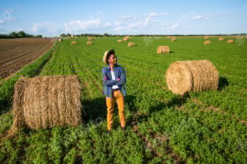 Visualização: Agricultor no campo