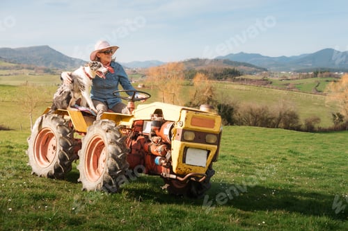 Preview: Woman Driving Tractor with Dog on Green Field