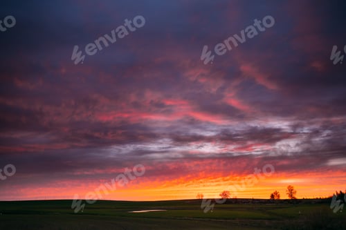 Preview: Spring Field In Evening Sunset. Natural Bright Dramatic Sky Pink