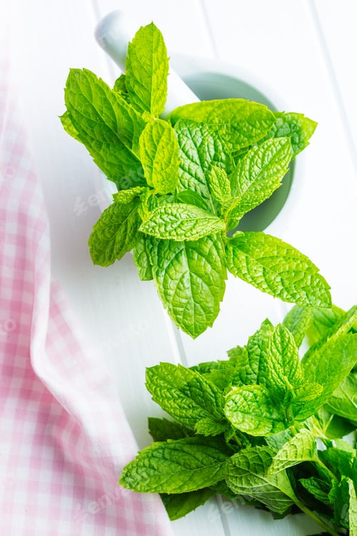 Preview: Branch mint leaves.
