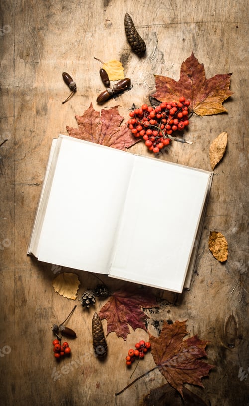 Preview: Old books and autumn leaves.